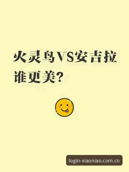 小鸟平台客户端下载不了怎么办 小鸟平台客户端无法下载 vs 手机版登录受阻:创新解决方案全面对比